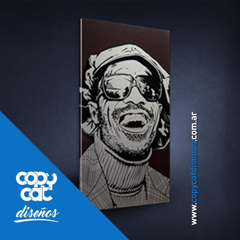 Cuadro Stevie Wonder