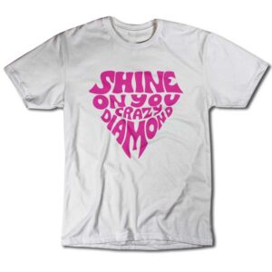 Remera Pink Floyd - Shine on your crazy diamond