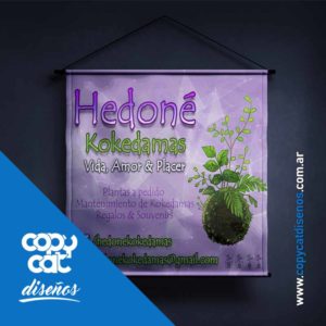 Comercial - Kokedamas