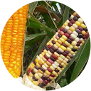 Pablo Delgado profile picture