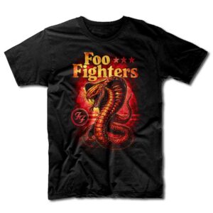 Remera Foo Fighters - FF